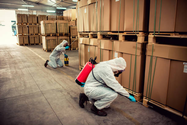 Best Termite Control Services  in Beachwood, NJ