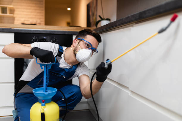 Best Local Pest Control Services  in Beachwood, NJ