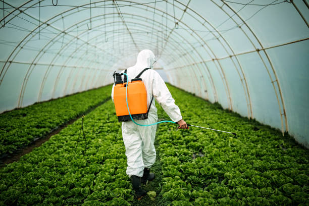 Best Pest Control for Businesses  in Beachwood, NJ