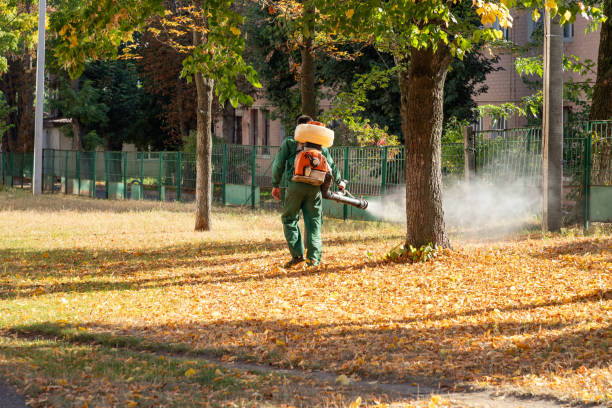 Best Emergency Pest Control  in Beachwood, NJ