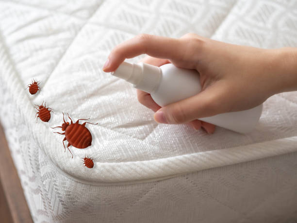 Best Commercial Pest Control Services  in Beachwood, NJ