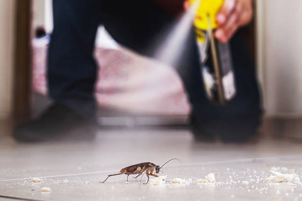 Best Pest Removal Services  in Beachwood, NJ